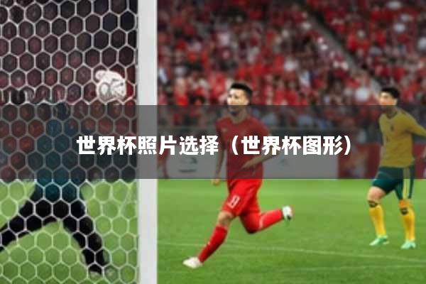 世界杯照片选择（世界杯图形）