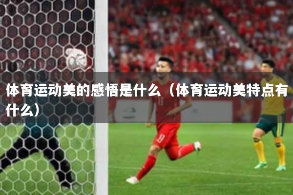 体育运动美的感悟是什么(体育运动美特点有什么)