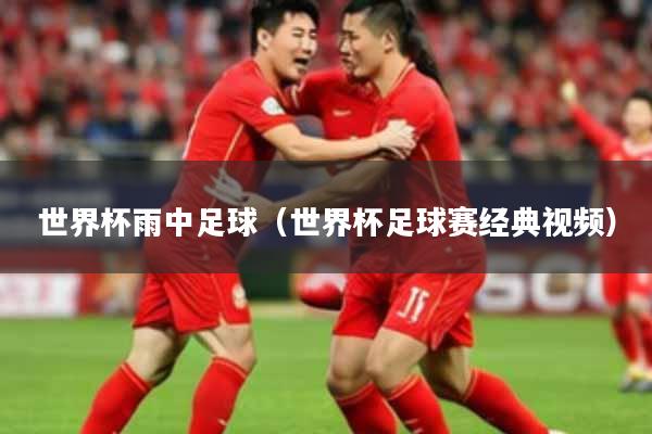 世界杯雨中足球(世界杯足球赛经典视频)