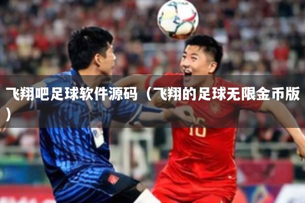 飞翔吧足球软件源码(飞翔的足球无限金币版)